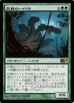 画像1: $FOIL$（M14-RG)Vastwood Hydra/巨森のハイドラ(日,JP)