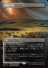 【ドラゴンスケイル・フォイル仕様】【ボーダーレス】(SPG-ML)Marsh Flats/湿地の干潟【No.0110】（日,JP）