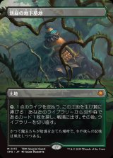 【ドラゴンスケイル・フォイル仕様】【ボーダーレス】(SPG-ML)Verdant Catacombs/新緑の地下墓地【No.0113】（日,JP）