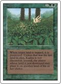 (2ED-RG)Kudzu