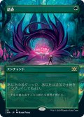 【Foil】(2XM-Box_Topper-RG)Exploration/踏査(日,JP)