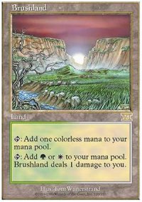 (6ED-R)Brushland/低木林地(JP,EN)