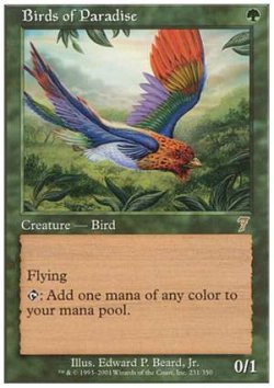 画像1: $FOIL$(7ED-R)Birds of Paradise/極楽鳥(英,EN)