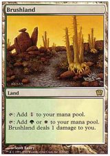 (9ED-R)Brushland/低木林地(JP)