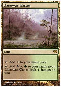 画像1: (9ED-R)Llanowar Wastes/ラノワールの荒原(英,ENG)