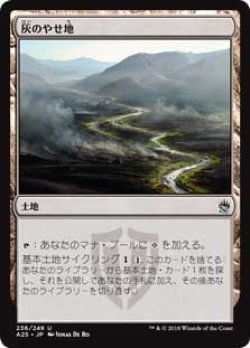 画像1: 【Foil】(A25-UL)Ash Barrens/灰のやせ地(JP,EN)