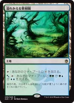 画像1: 【Foil】(A25-RL)Flooded Grove/溢れかえる果樹園(JP,EN)