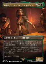 【ボーダーレス】(ACR-MM)Cleopatra, Exiled Pharaoh/追放されしファラオ、クレオパトラ【No.0119】(日,JP)