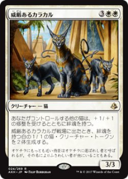 画像1: (AKH-RW)Regal Caracal/威厳あるカラカル(英,EN)