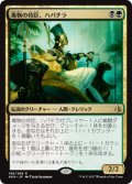 (AKH-RM)Hapatra, Vizier of Poisons/毒物の侍臣、ハパチラ(英,EN)