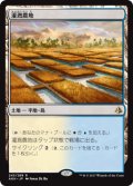 (AKH-RL)Irrigated Farmland/灌漑農地(英,EN)