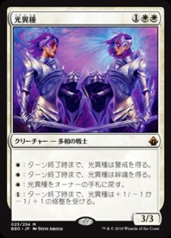 画像1: (BBD-MW)Brightling/光異種(英,EN)