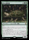 (BLB-RG)Fecund Greenshell/肥えた緑甲羅 【No.0171】(英,EN)