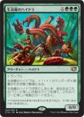 (C14-RG)Lifeblood Hydra/生命線のハイドラ(英,EN)