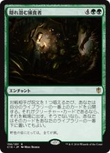 (C16-RG)Lurking Predators/隠れ潜む捕食者(英,EN)