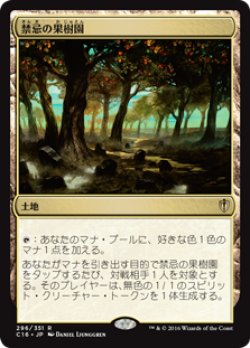 画像1: (C16-RL)Forbidden Orchard/禁忌の果樹園(日,JP)