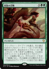 (C17-RG)Kindred Summons/同族の召喚(日,JP)