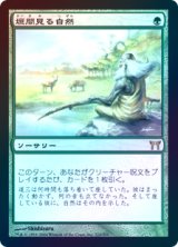 【Foil】(CHK-RG)Glimpse of Nature/垣間見る自然(日,JP)