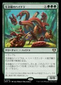 (CMM-RG)Lifeblood Hydra/生命線のハイドラ (No.303)(英,EN)