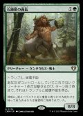 (CMM-RG)Stonehoof Chieftain/石蹄獣の酋長 (No.325)(英,EN)