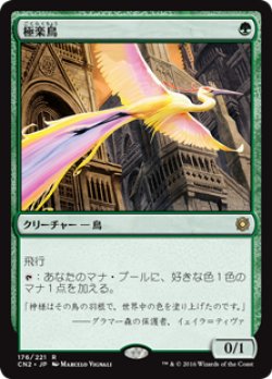 画像1: (CN2-RG)Birds of Paradise/極楽鳥(JP,EN)