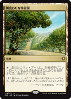 画像1: $FOIL$(CN2-RL)Exotic Orchard /風変わりな果樹園(JP,EN)