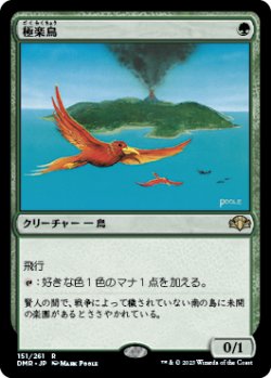 画像1: (DMR-RG)Birds of Paradise/極楽鳥(日,JP)