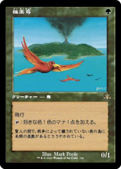 画像1: 【旧枠】(DMR-RG)Birds of Paradise/極楽鳥(英,EN)