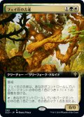 【Foil】【絵違い】(ELD-RM)Faeburrow Elder/フェイ庄の古老(日,JP)