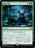 $FOIL$(EMN-RG)Eldritch Evolution/異界の進化(JP,EN)