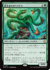 (FDN-RG)Mossborn Hydra/苔生まれのハイドラ(英,EN)