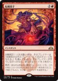 (GRN-RR)Risk Factor/危険因子(英,EN)