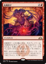 (GRN-RR)Risk Factor/危険因子(英,EN)