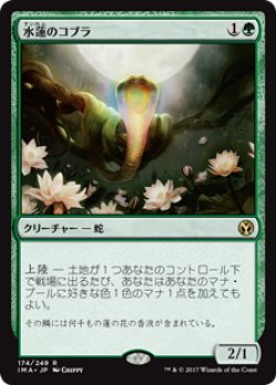 画像1: (IMA-RG)Lotus Cobra/水蓮のコブラ(英,EN)