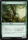 【Foil】(IMA-CG)Wall of Roots/根の壁(日,JP)