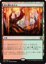 【Foil】(IMA-RL)Grove of the Burnwillows/燃え柳の木立ち(日,JP)