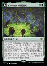 (LCI-RG)Growing Rites of Itlimoc/イトリモクの成長儀式(日,JP)