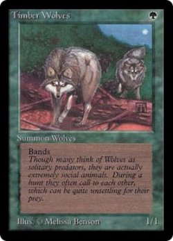 画像1: (LEB-RG)Timber Wolves/森林狼