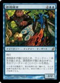 (LRW-RU)Sower of Temptation/誘惑蒔き(日,JP)