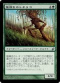 (LRW-UG)Seedguide Ash/種導きのトネリコ(英,EN)