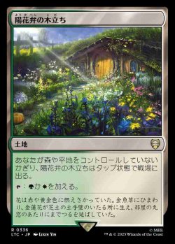 画像1: (LTC-RL)Sunpetal Grove/陽花弁の木立ち(日,JP)