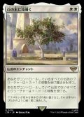 (LTR-RW)Flowering of the White Tree/白の木に花開く(日,JP)