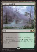 (M15-RL)Llanowar Wastes/ラノワールの荒原(JP,EN)