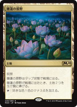 画像1: (M20-RL)Lotus Field/睡蓮の原野(日,JP)