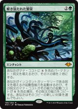 (MH1-MG)Unbound Flourishing/解き放たれた繁栄(日,JP)