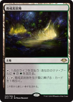 画像1: 【Foil】(MH1-RL)Nurturing Peatland/育成泥炭地(日,JP)