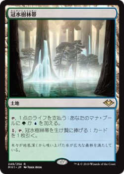 画像1: 【Foil】(MH1-RL)Waterlogged Grove/冠水樹林帯(英,EN)