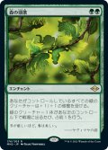 (MH2-RG)Sylvan Anthem/森の頌歌(英,EN)