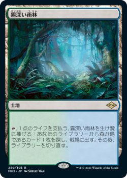 画像1: (MH2-RL)Misty Rainforest/霧深い雨林(日,JP)