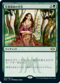 (MH2-RG)Enchantress's Presence/女魔術師の存在(日,JP)